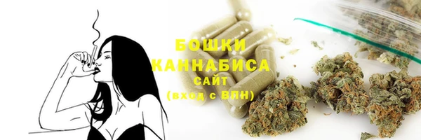 apvp Козельск