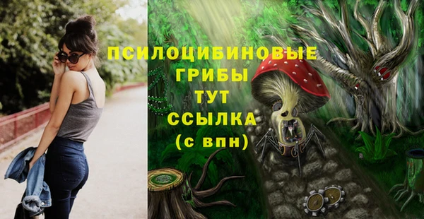 тгк Козловка