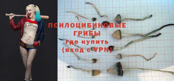 apvp Козельск