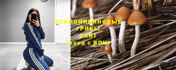 тгк Козловка