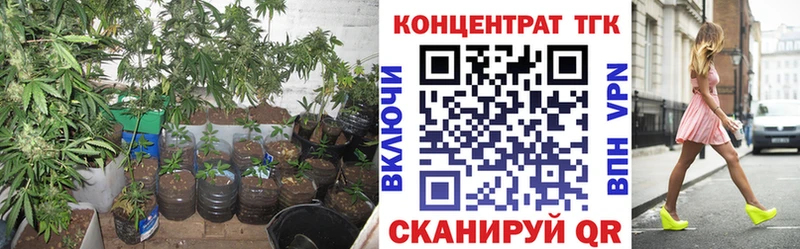 цена   Магадан  Дистиллят ТГК вейп 