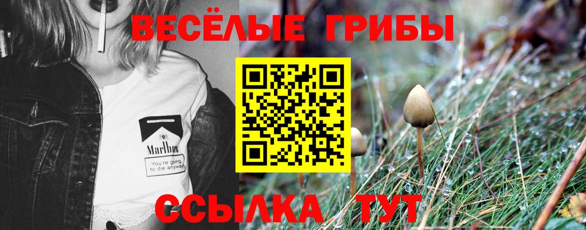 Псилоцибиновые грибы мухоморы Магадан